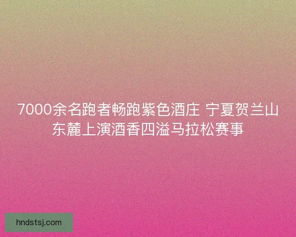 7000余名跑者畅跑紫色酒庄 宁夏贺兰山东麓上演酒香四溢马拉松赛事