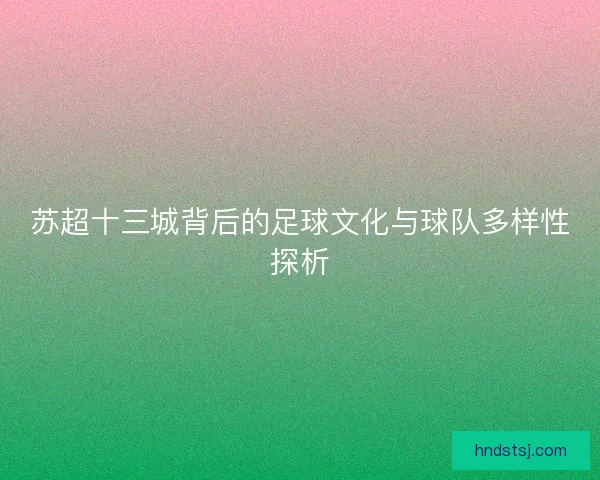 苏超十三城背后的足球文化与球队多样性探析